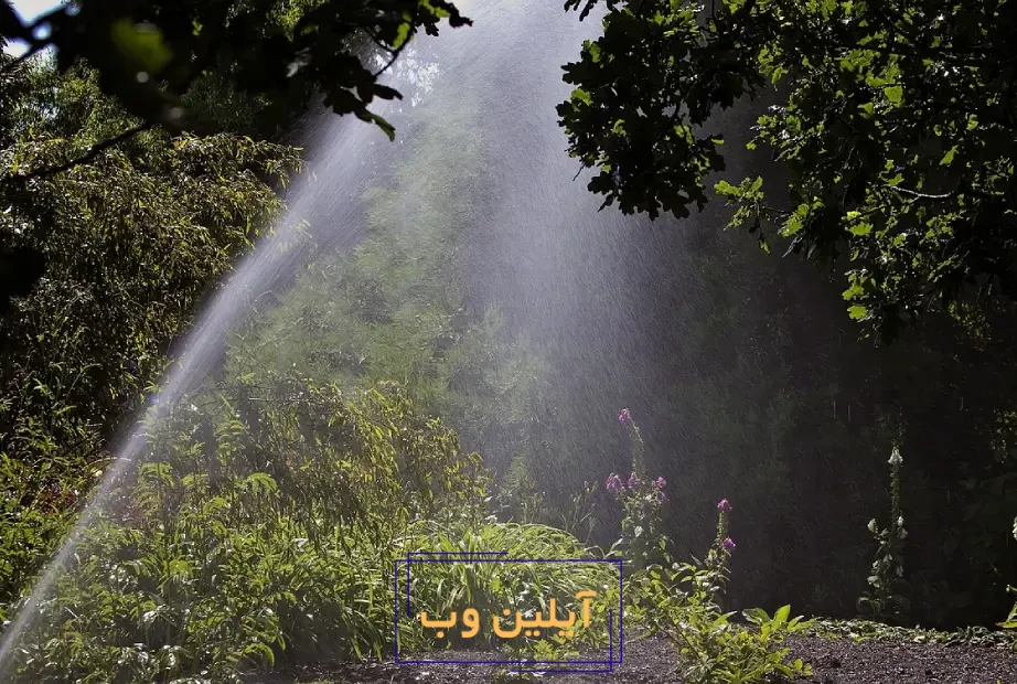 بهترین زمان آبیاری درختان در تابستان