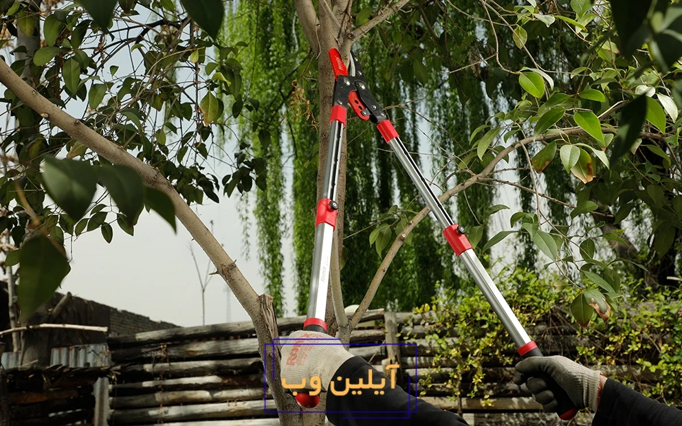 تصویر قیچی شاخهزن رونیکس