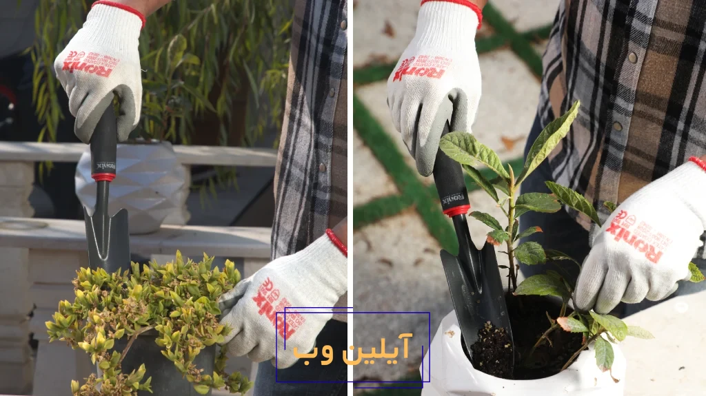 دستکش مناسب برای باغبانی؛دست‌هایی سالم، باغی پرثمر