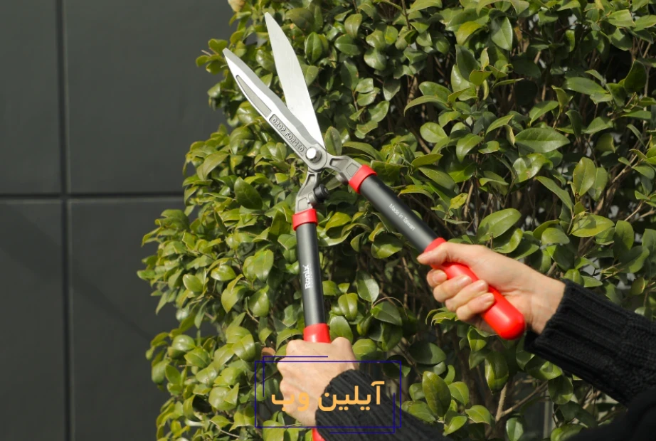 قیچی شمشاد زن رونیکس RH-3110