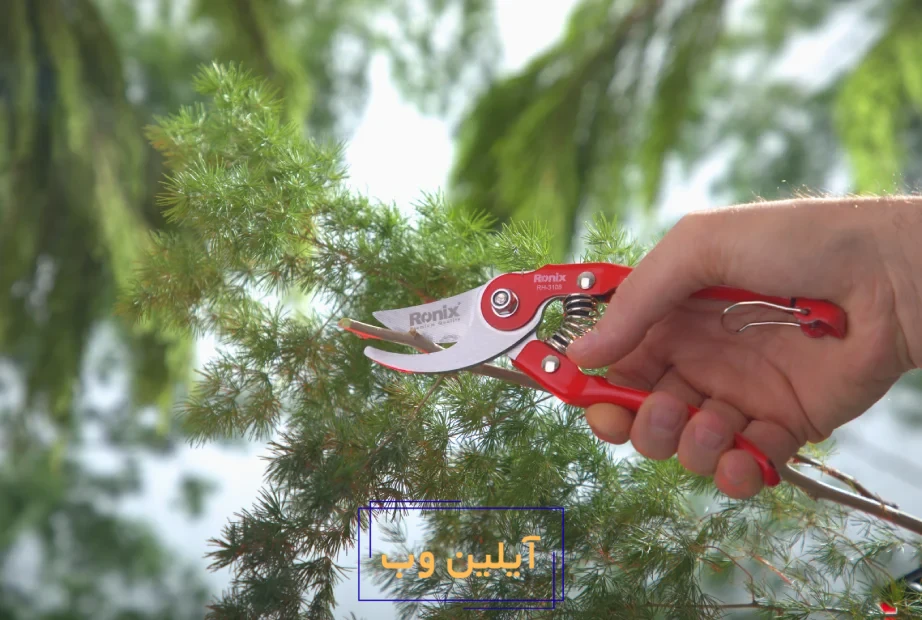 قیچی باغبانی رونیکس