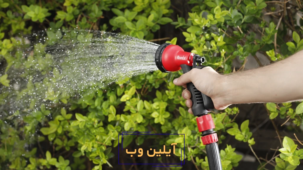 آبیاری درختان در تابستان؛ بهترین زمان و ابزار لازم